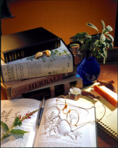 Study Herbs: Increase Your Knowledge About Herbal Medicine Image